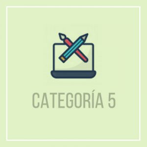 Categoría 5